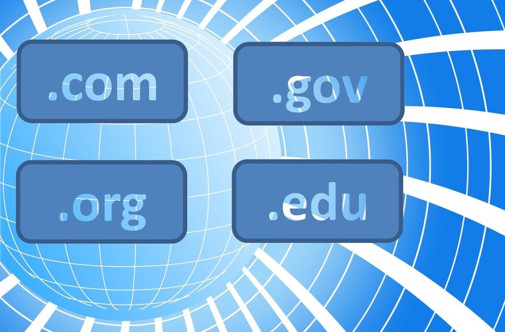 Selection a domain name